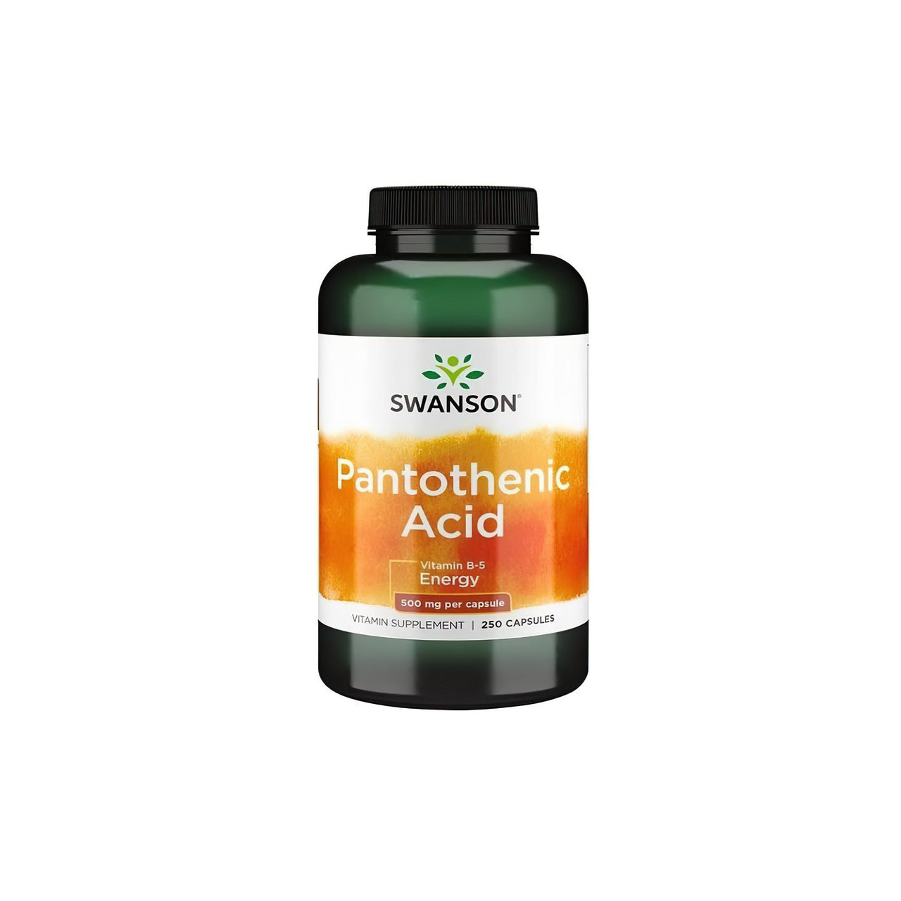 Bottle of Swanson Pantothenic Acid Vitamin B5 dietary supplement for skin regeneration and energy metabolism, 250 capsules.
