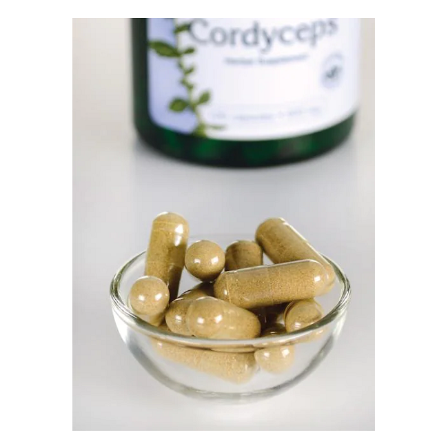 A glass bowl with brown capsules stands out, while a blurred Swanson bottle of Cordyceps 600 mg 120 Capsules hints at its Tibetan highland origins as a natural energizer.