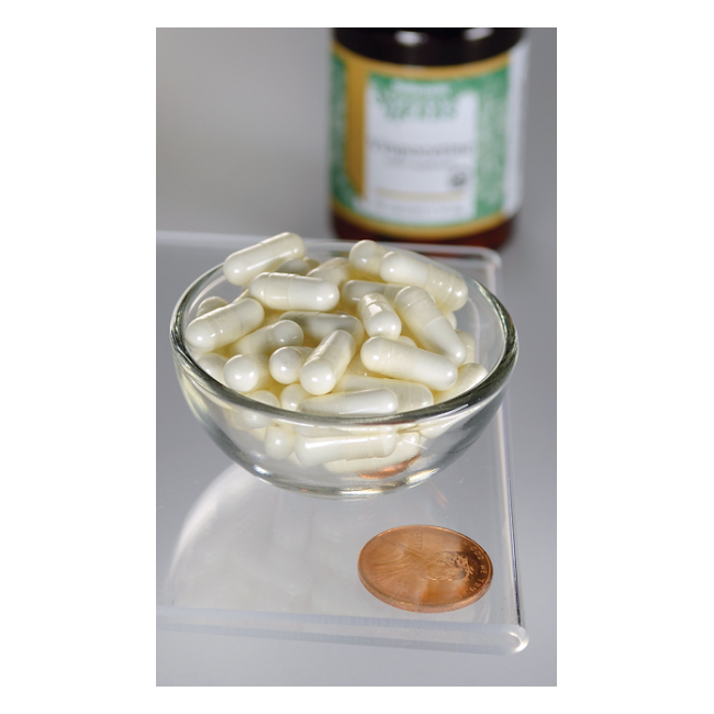 A small glass bowl with white capsules is next to a penny on a clear surface, indicating concentration enhancement power. Behind it, a blurred bottle suggests Swanson's Vinpocetine 10 mg 90 Capsules as the secret to memory support.